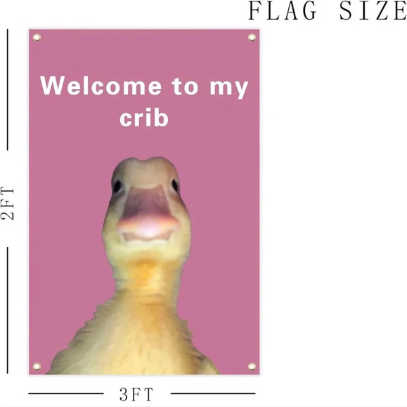 Welcome to My Crib Funny Flag 2x3Ft Wall Flag with 4 Brass Grommets for Party Ya - Picture 2 of 3